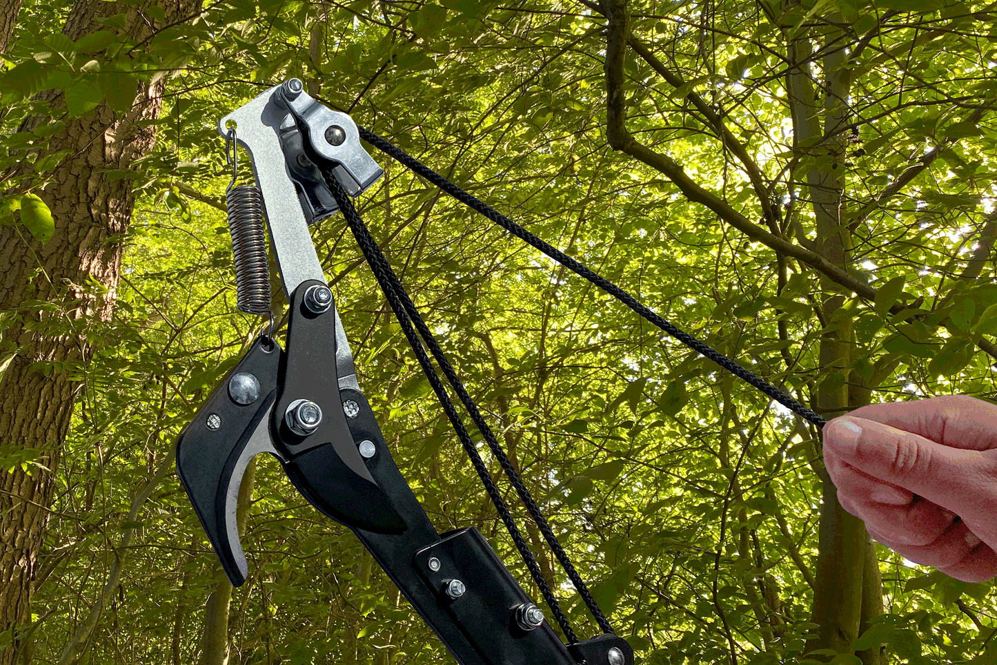 FenWi 10m Teleskop Baumpflege Set mit Teleskopstange Astschere Astsäge Obstpflücker und Baumhaken