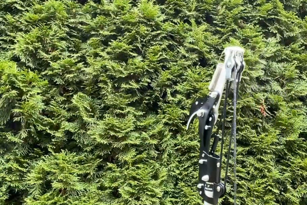 Die FenWi Seilzug-Astschere als praktisches Anbaugerät, passend zur 10m Teleskopstange ist mit Bypass Klinge und Zugschnur mit Flaschenzug-Prinzip ausgestattet.