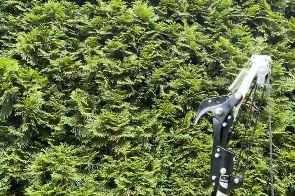 Die FenWi 3m Bypass Astschere als Solo Gartengerät und Anbauwerkzeug passt zu allen FenWi Teleskopstangen und ist mit Rollen für leichte Bedienung ausgestattet.