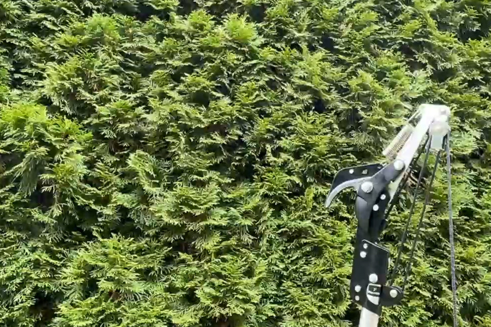 Die FenWi Seilzug-Astschere mit Teflonbeschichteter Klinge als praktisches Anbaugerät, passend zur 4m Teleskopstange, ist mit einer Bypass-Klinge ausgestattet.