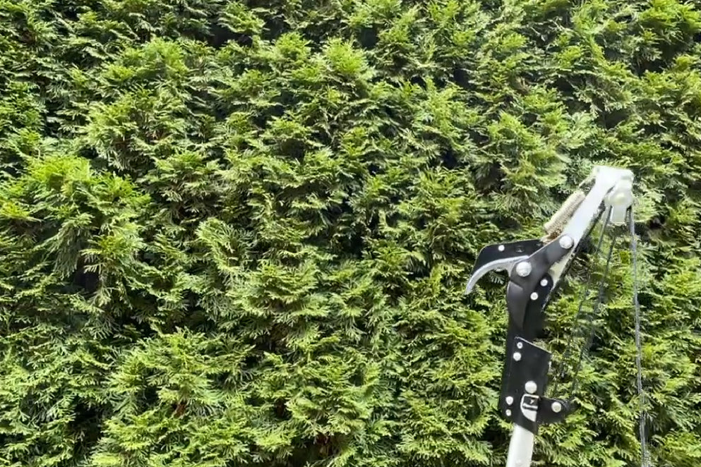 Die FenWi Seilzug-Astschere mit Teflonbeschichteter Klinge als praktisches Anbaugerät, passend zur 6m Teleskopstange, ist mit einer Bypass-Klinge ausgestattet.