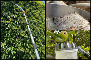 10m Teleskop-Baumpflege-Set mit Teleskopstange, Astschere, Astsäge, Obstpflücker & Haken