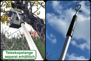 Curlhaken / Korkenzieher-Haken zum Eindrehen für Palmenwedel und Weinernte